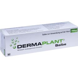 Eine weiße Box mit der Aufschrift "Dermaplant Salbe" und "75g".